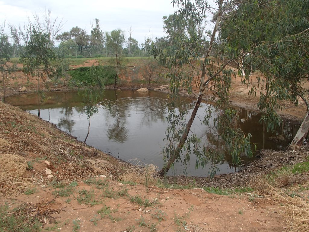 Yabby Pond